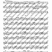 Symphony D minor in D minor - Set of Parts