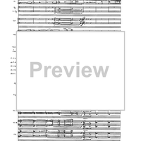 Birds In Light - Full Score