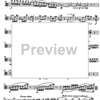 Impromptu No.25 Op.84 - Viola