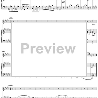 Violin Sonata No. 21 in E Minor, K300c (K304) - Piano Score