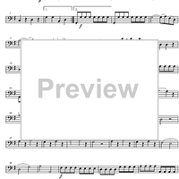 Eine Kleine Nachtmusik KV525 - Cello/Bass