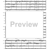 Concerto in F Major No. 13 - "The Cuckoo and the Nightengale" - Score