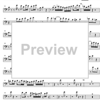 Eclipse - Bass Recorder