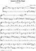 Sonata in B-flat major - K272/P518/L145