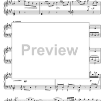 Cadenzas Concerto No.23 A Major KV488 1st movement