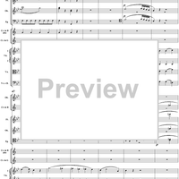 Symphony No. 40 in G Minor, Movement 1 - Full Score