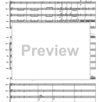 Bravura Variations on a theme by N. Dezede (1740-1792) - Score