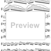 Twenty-Four Caprices: Nos. 1 - 12