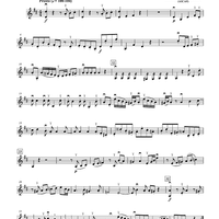 Presto in D Major - Violin 2