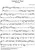 Sonata in G minor - K373/P158/L98