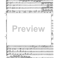 Double Concerto for Recorder and Flute in E minor - Score