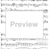 Horn Concerto No. 1 - Horn