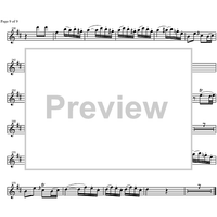 Concerto No. 2 C Major KV314 - Flute