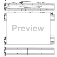 Sonatina in due tempi