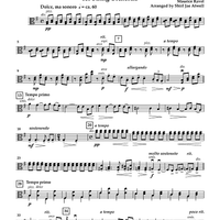 Pavane pour une infante defunte - Viola