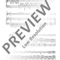 Concerto B Minor in B minor