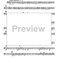 Musica Festiva - Tuba 2