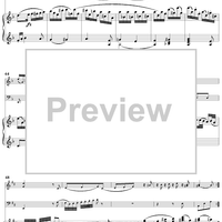 Piano Trio in D Minor, HobXV/23 - Piano Score