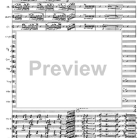 Birds Heterophony - Full Score