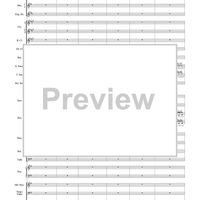 Harry Potter Symphonic Suite - Score