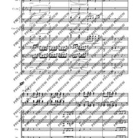Piano Concerto A minor in A minor - Full Score