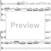 Cantata No. 13  "Meine Seufzer, Meine Thränen," BWV13