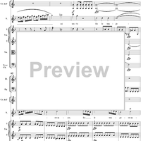 "Ma, che vi fece", recitative and "Sperai vicino il lido", aria, K368 - Full Score