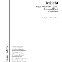Irrlicht Op.89 No. 9 D911