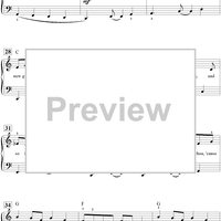 The New Girl In Town