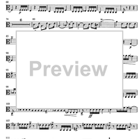 Jubilee Concerto for Celeia - Viola