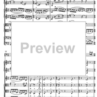 Contrabbasso concertante - Score