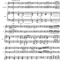 Piano Trio No. 2 f minor Op.80 - Score