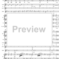 "Tiger! Wetze nur die Klauen", No. 13 from "Zaide", Act 2, K336b (K344) - Full Score