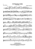 El Palamino Noble - Flute 1/Piccolo