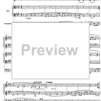 Suite per cinque - Score