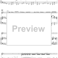 Flight of the Bumblebee