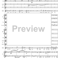 "Tiger! Wetze nur die Klauen", No. 13 from "Zaide", Act 2, K336b (K344) - Full Score