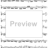 Sonata No. 11 in D Minor - Flute