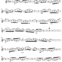 "Von der Welt verlang' ich nichts", Aria, No. 7 from Cantata No. 64: "Sehet, welch eine Liebe" - Oboe d'amore