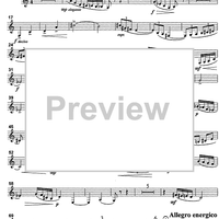 Concerto - Bass Clarinet