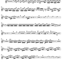 Concerto in B Minor, Op. 3, No. 10, RV580 from "L'estro Armonico" - Violin 3