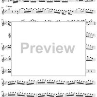 Flute Concerto in G Minor ("La Notte")  - Op. 10, No. 2 - RV 439 - Flute