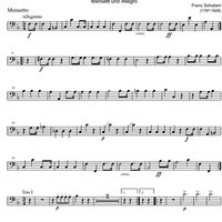 Octet F Major D72 - Bassoon 1