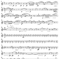 Quintet in C Minor - Horn