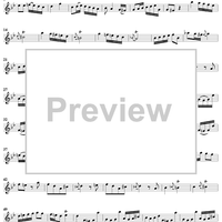 Sonata No. 6 in G Minor - Flute