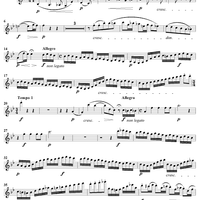 String Quartet No. 13 in B-flat Major, Op. 130 - Violin 1