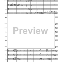 The Bugle Call Rag - Score