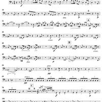 Serenade in D Minor, Op. 44, Movement 4 - Double Bass