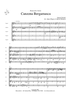 Canzona Bergamasca - Score