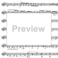 Sonata in D minor - Cello